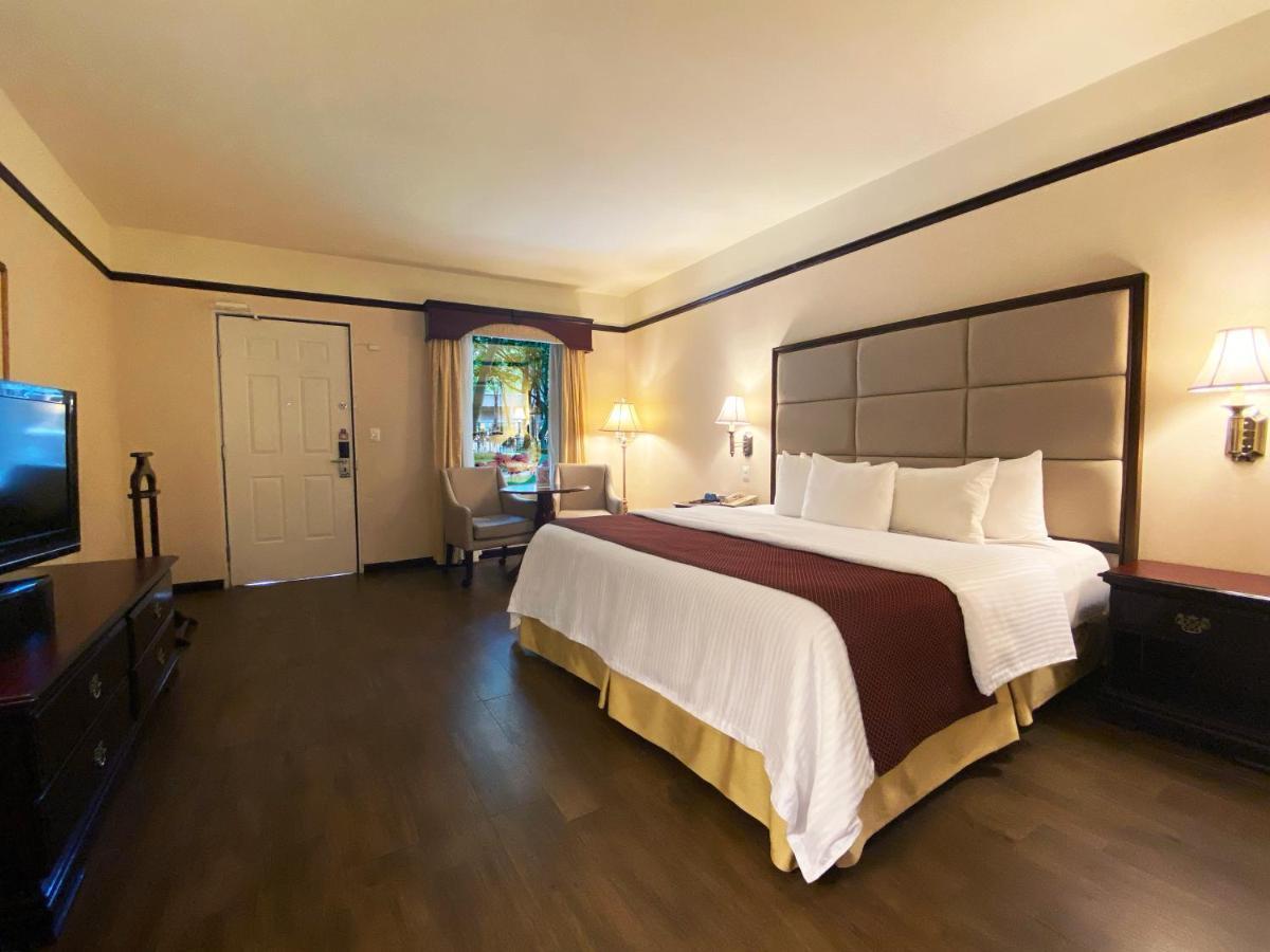 Garden King Room,1021863457:JPEG