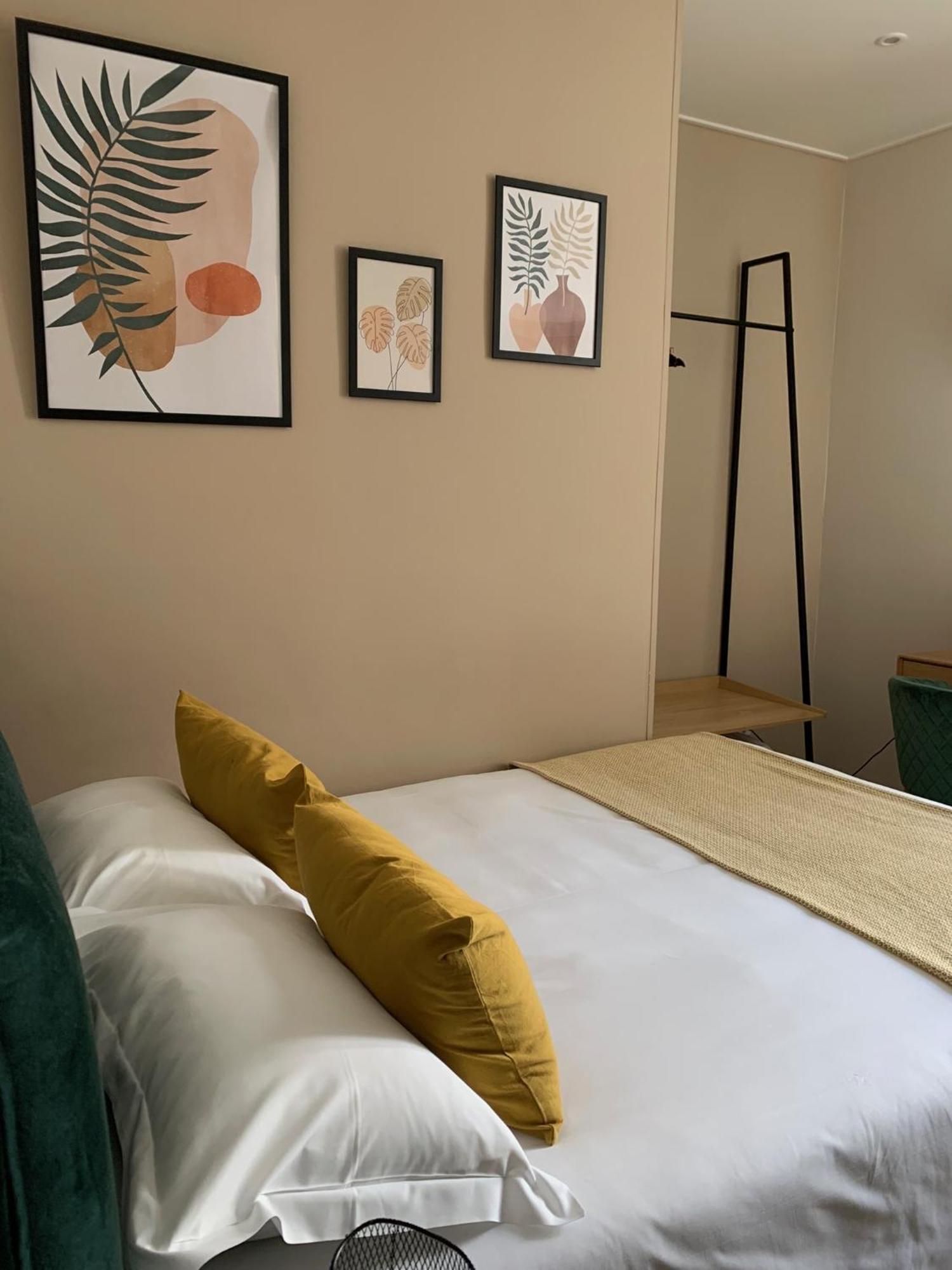 Single Room,1554045868:JPEG