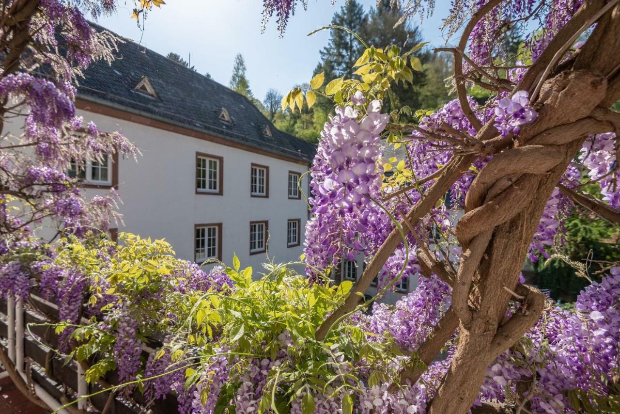 Suite mit Gartenblick und Balkon