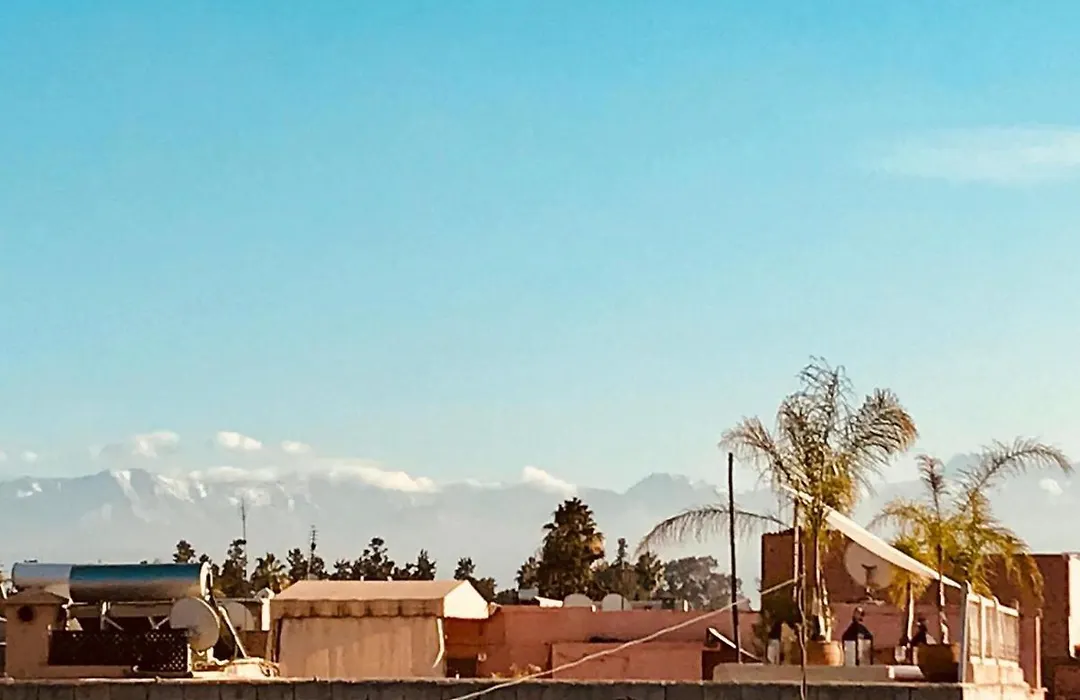 Riad Rockech-1