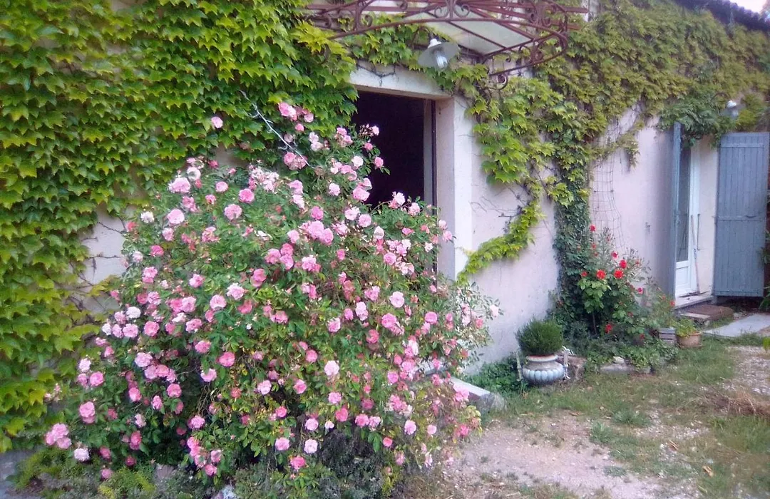 Le Domaine de Belle-1