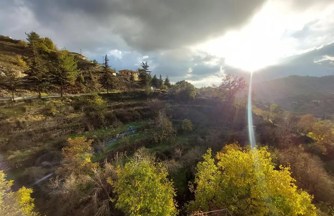 Agros Green Valley Suites-1