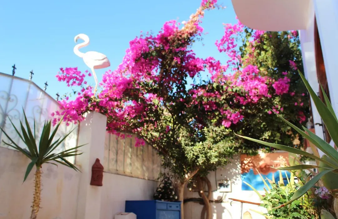 Villa Andalusia Dahab Blue-1