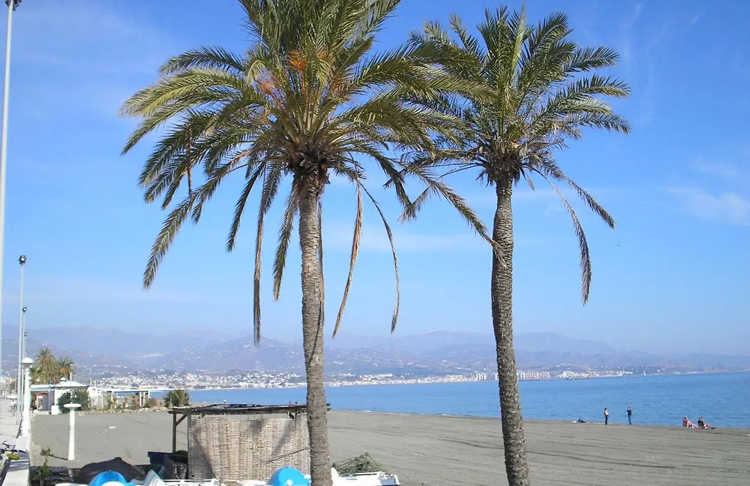 Bq Andalucia Beach Hotel-1