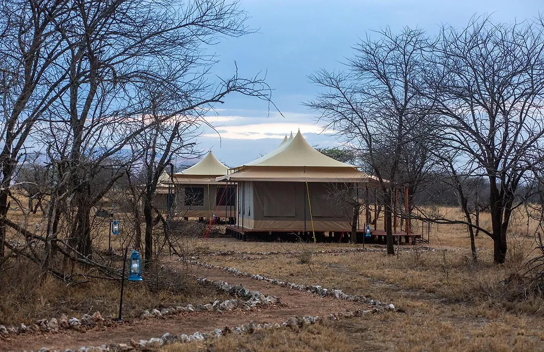 House Of Nature Serengeti-1