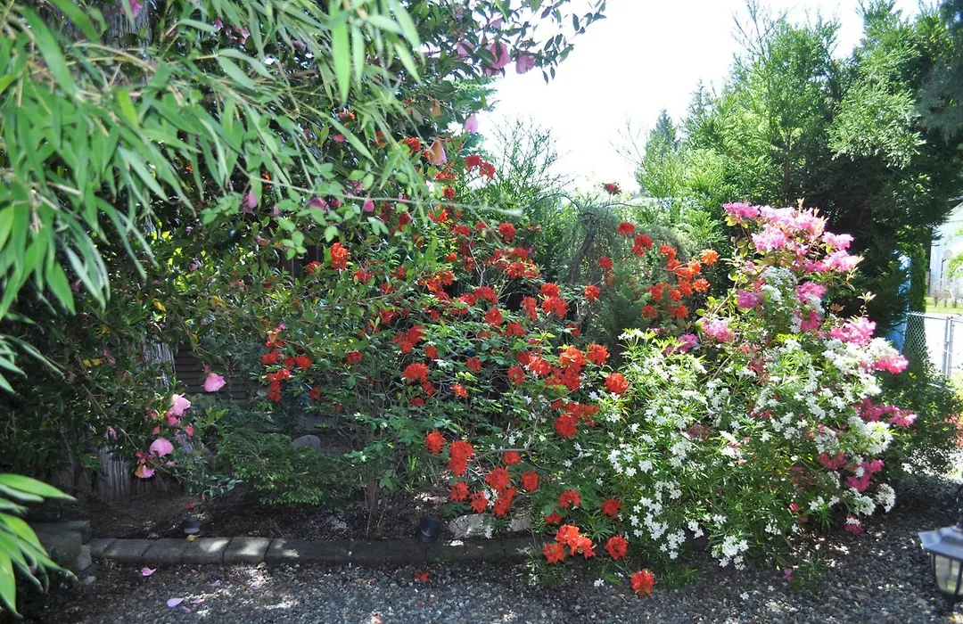 Garden House-1