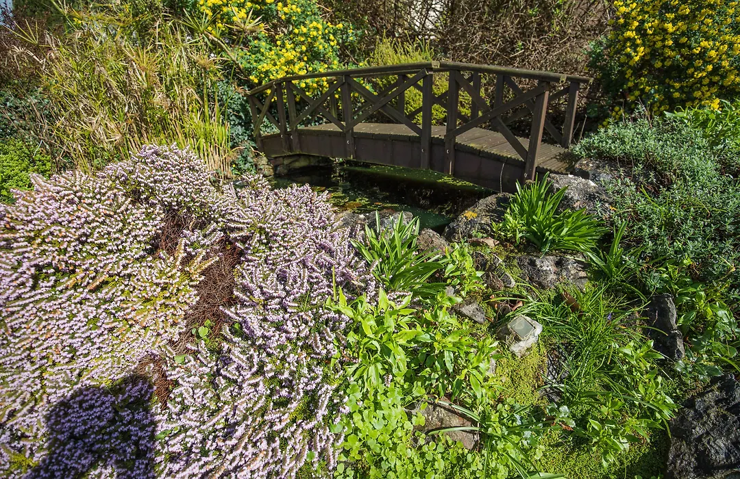 The Berburry-1