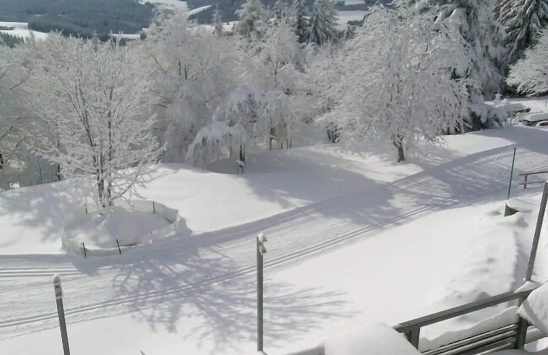Berggasthof&Hotel Brend-1