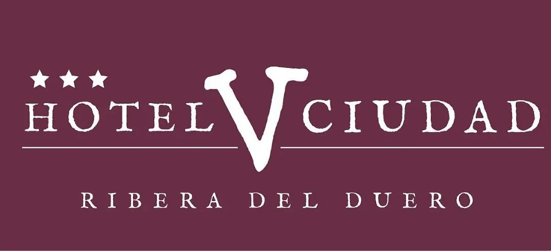 Hotel V.Ciudad-1