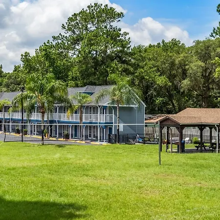 Gatortown Inn-2