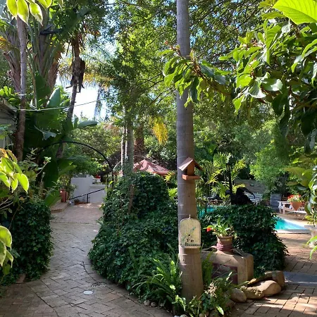 The Little Hideaway Guesthouse-3