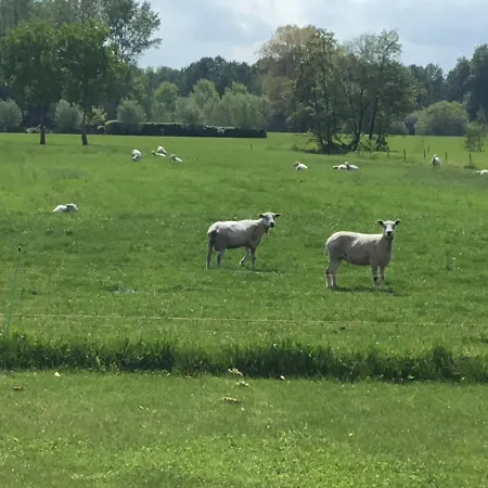 De Weije Wereld-2