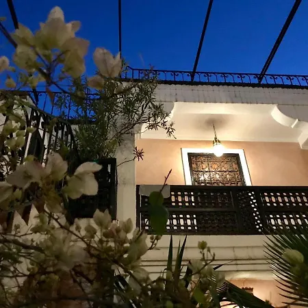 Riad Rockech-2