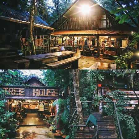 Khao Sok Tree House Resort-3