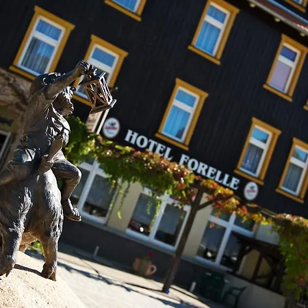 Ferienhotel Forelle Thale Ortsteil Treseburg-3