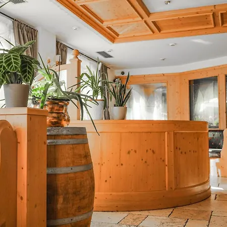 Hotel Alba Wellness & Spa-3