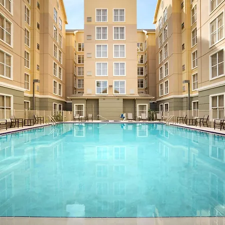 Homewood Suites By Hilton Orlando-International Drive Convention Center-3