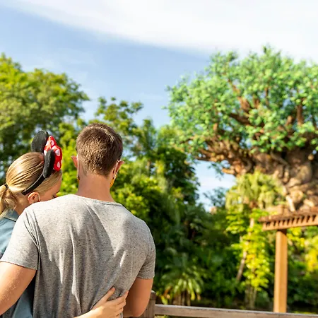Copper Creek Villas And Cabins At Disneys Wilderness Lodge-2