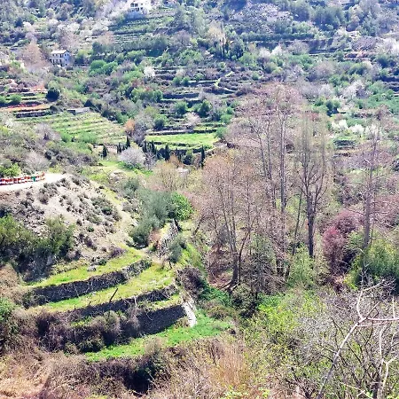 Agros Green Valley Suites-3