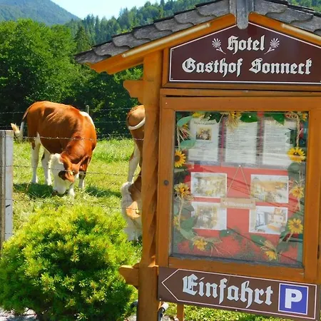 Hotel-Gasthof-Sonneck-3