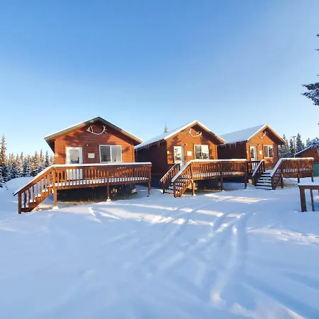 Denali'S Alaskan Spruce Cabins-2