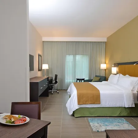 Holiday Inn Tampico-Altamira By Ihg-3