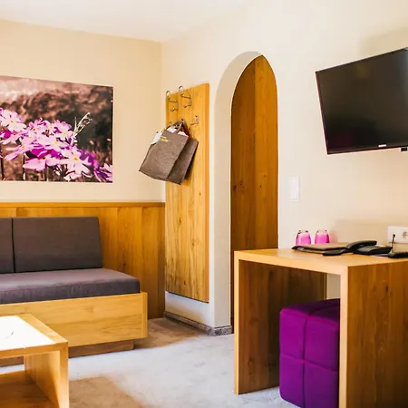 Hotel Dr Otto Murr B&B-3