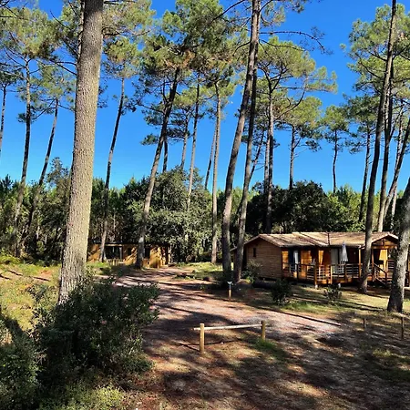 Green Resort-2