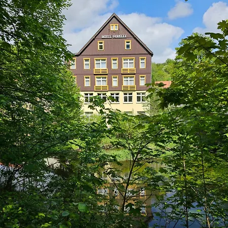 Ferienhotel Forelle Thale Ortsteil Treseburg-2