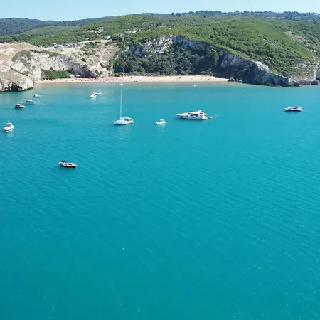 Vacanze Top-3