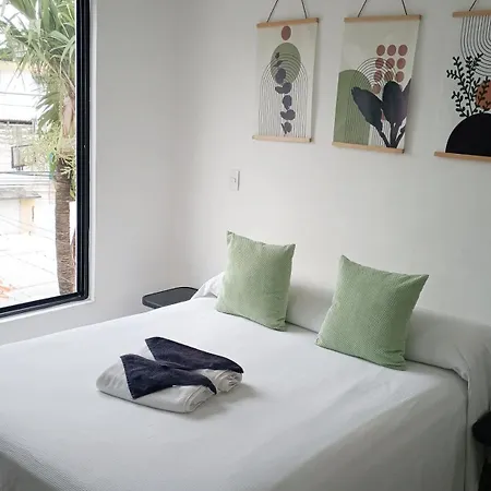 Tauch Cancún Centro-2