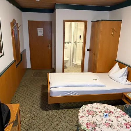 Hotel Hubertus Gernsheim Rhein-2