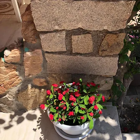 B&B Isola Mia-3