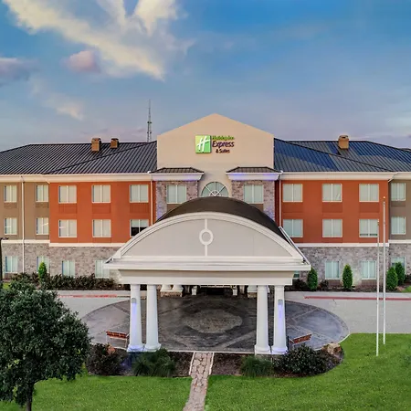 Holiday Inn Express Hotel & Suites Clute-Lake Jackson By Ihg-2