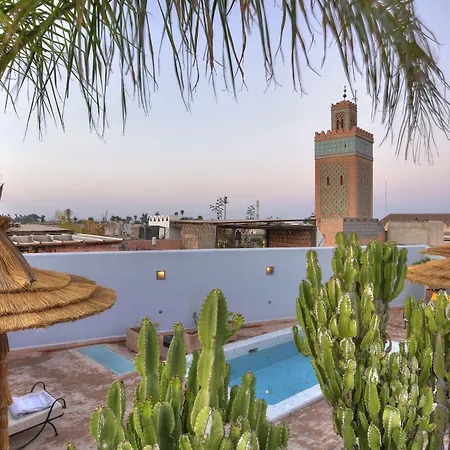 Riad Awa-3