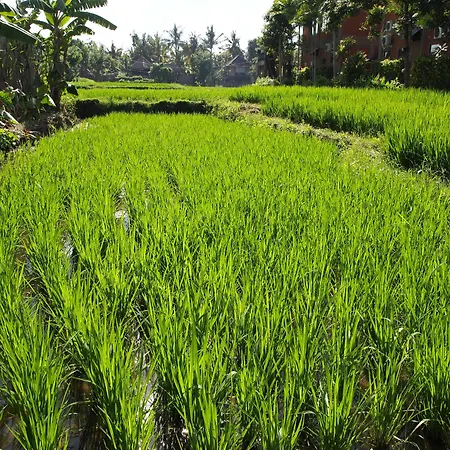 Saren Indah Hotel-3