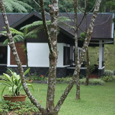 Puncak Pass Resort-3