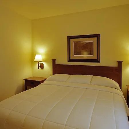 Mountain Inn & Suites Airport - Hendersonville-2