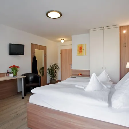 Hotel Hangelar-3