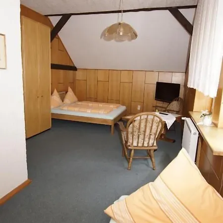 Pension Zum Froschkönig-2