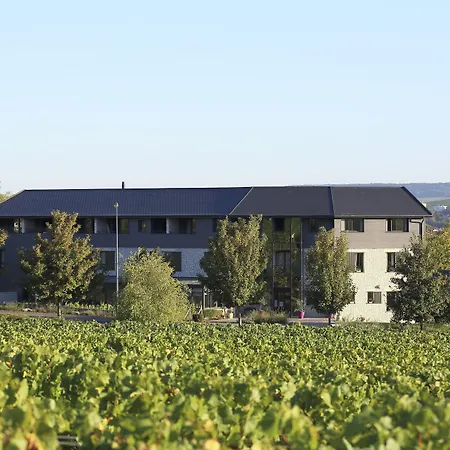 Les Grains d'Argent Dizy - Epernay-2