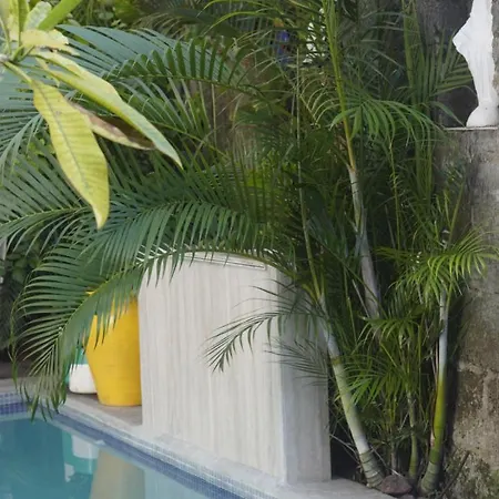 Hotel Los Balcones Leon-3