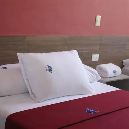 Hotel Teresita-3