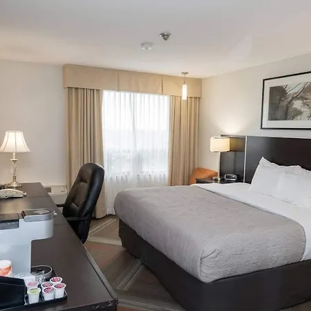 Quality Hotel-2