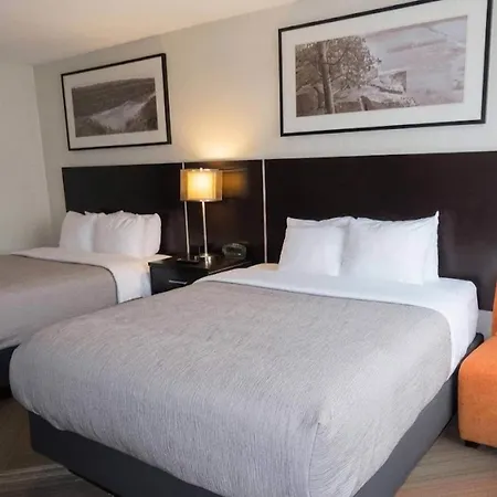 Quality Hotel-3