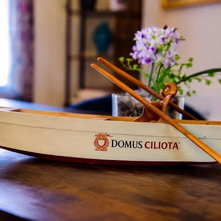 Domus Ciliota-2