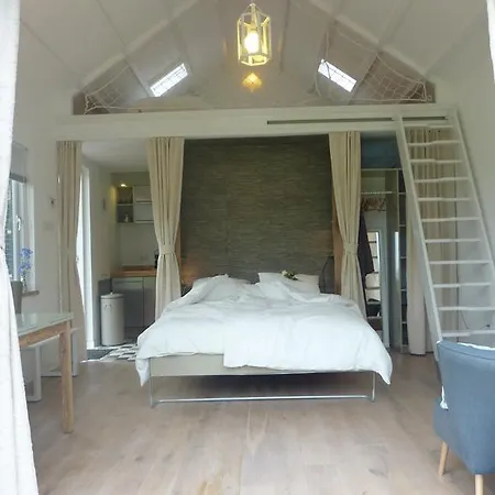B&B Bloom-3