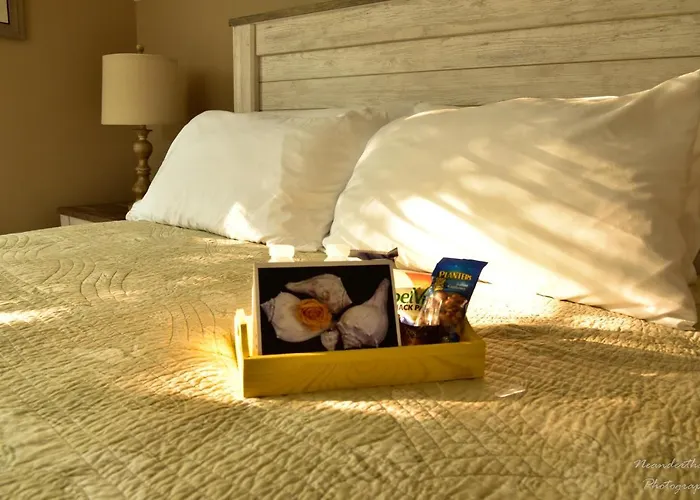 The Yellow Rose Of Talbot Bed And Breakfast Easton