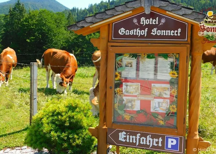 Hotel-Gasthof-Sonneck Reit im Winkl