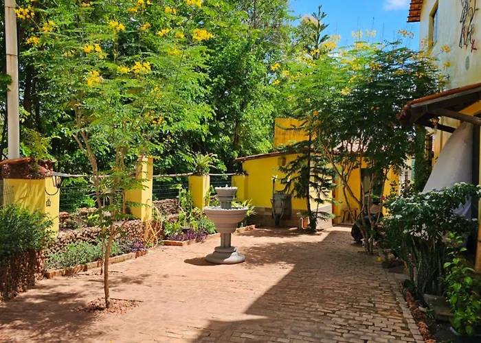 Beija- flor de Lençóis